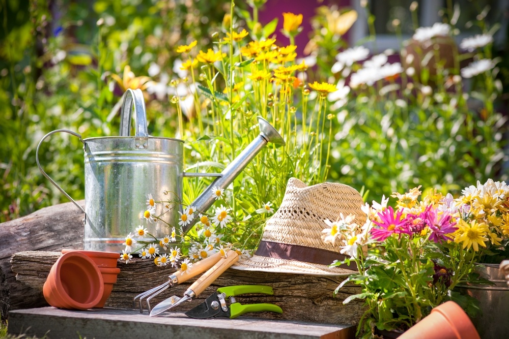 Gardening expert with tools and plants – beginner gardening tips and tricks