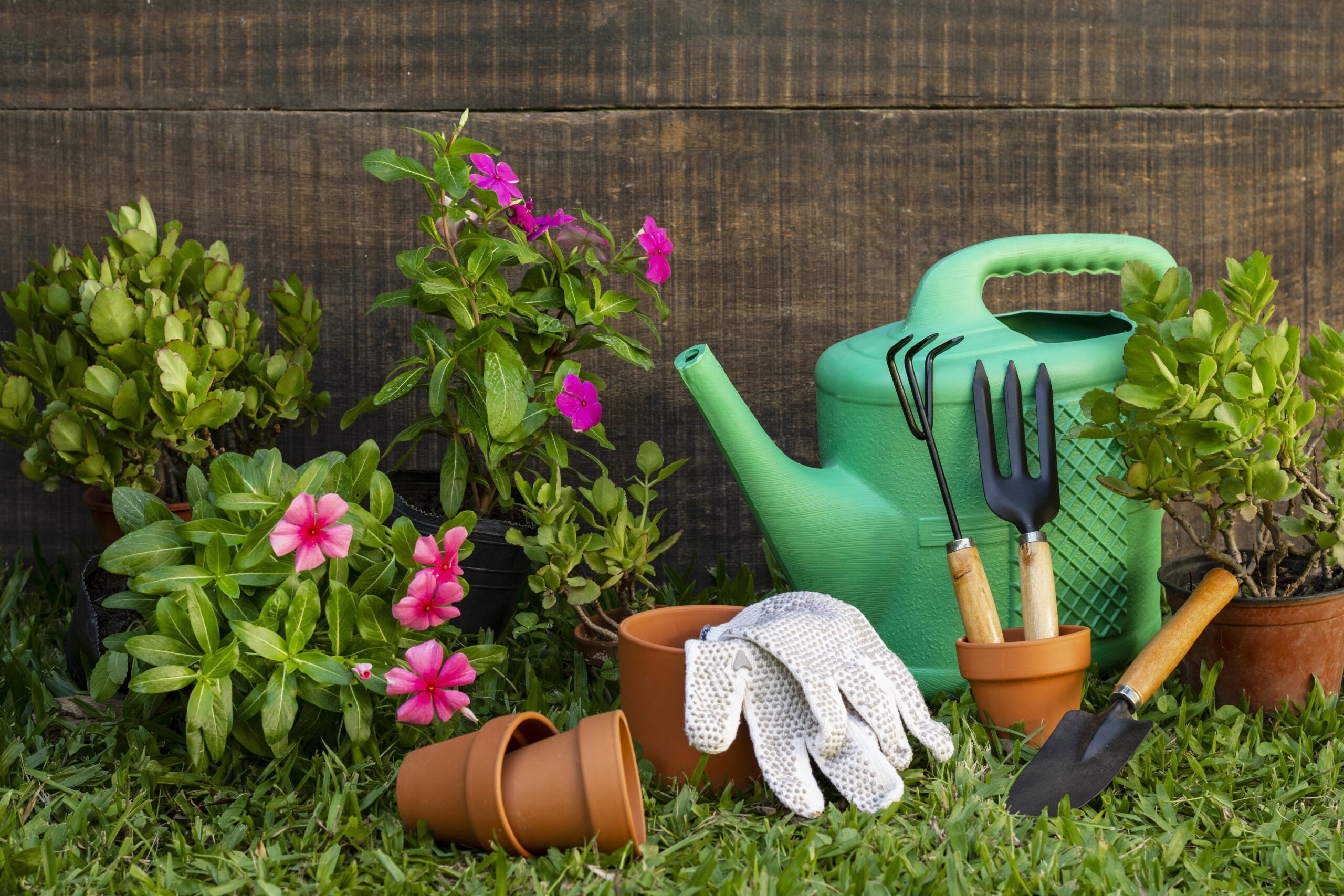 Top 5 gardening tips for beginners visual guide showing a sunny garden spot, easy potted plants, and nutrient-rich soil for healthy plant growth.